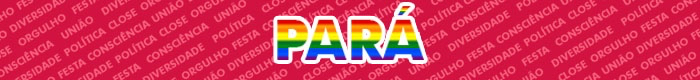 paradas gay lgbt orgulho estado do para 2024